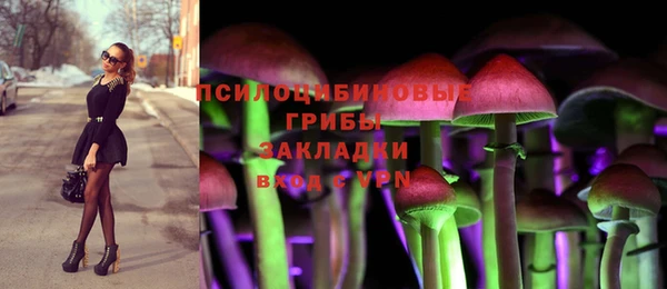 бутират Алексеевка