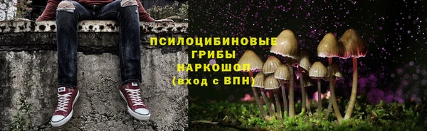 бутират Алексеевка