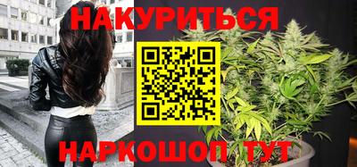 МДПВ Новозыбков