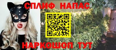 МДПВ Новозыбков