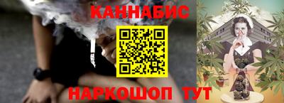 МДПВ Новозыбков