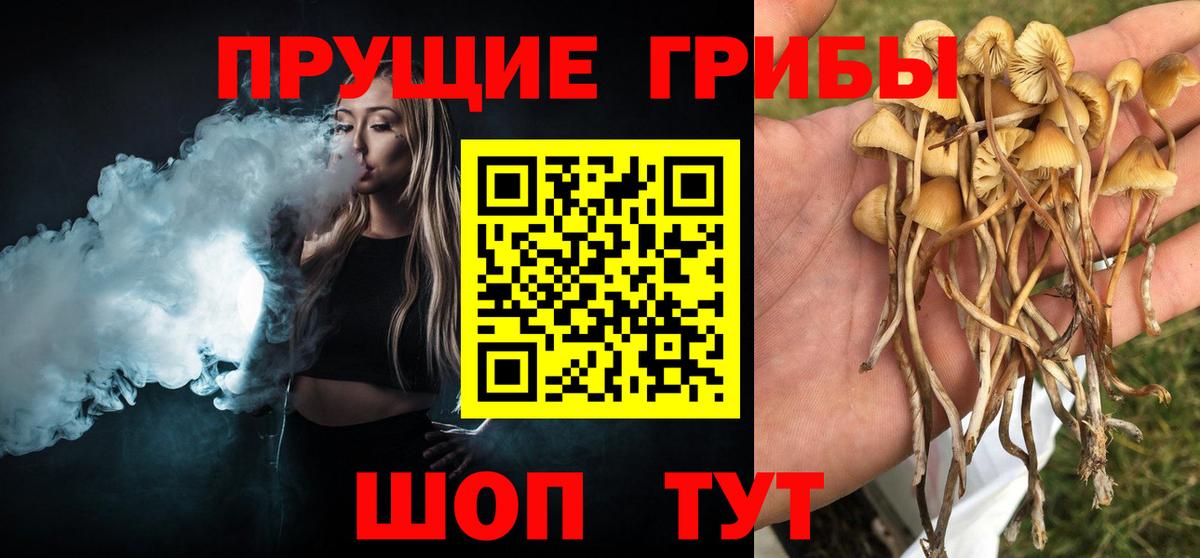 Псилоцибиновые грибы прущие грибы Кондопога